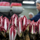 Image for article titled 14 High-Tech Farms Where Veggies Grow Indoors